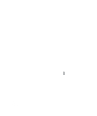 Carrier logos - mobile